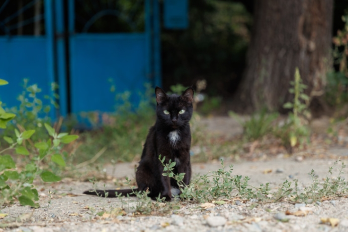 Два года спустя. Как жители Аркабая слушали обещания чиновников Два года спустя. Как жители Аркабая слушали обещания чиновников