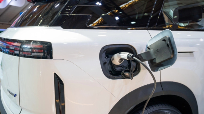 Главные новости за 27 августа: встреча с олимпийцами, строительство АЭС, вирус Мрох Главные новости за 27 августа: встреча с олимпийцами, строительство АЭС, вирус Мрох