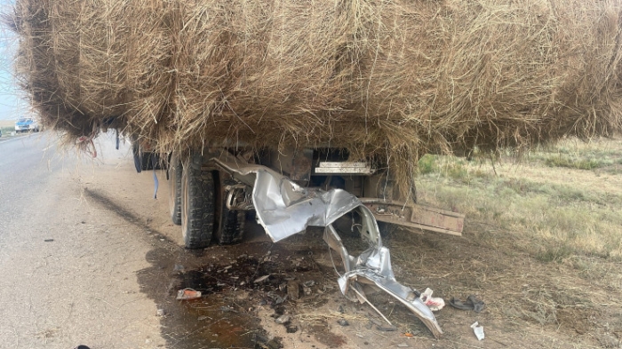 Подробности ДТП в ЗКО: погибли две супружеские пары, у одной было пятеро детей, у другой - семеро Подробности ДТП в ЗКО: погибли две супружеские пары, у одной было пятеро детей, у другой - семеро