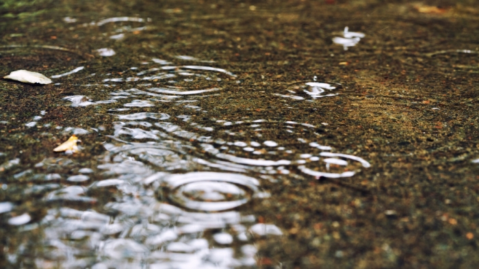 Дожди продолжаются. Прогноз погоды на 30 августа Дожди продолжаются. Прогноз погоды на 30 августа