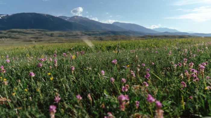 Зальют дожди: погода в Казахстане на вторник, 13 августа Зальют дожди: погода в Казахстане на вторник, 13 августа