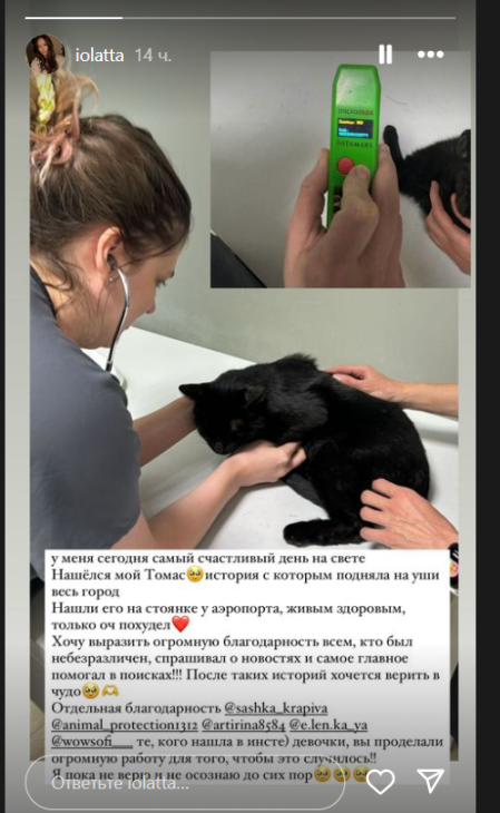 
                                                                                                                                                                                                                                                                                                                                                                                                                                                                                                                                                                                                                                        Почти месяц скитаний: потерявшийся в аэропорту Алматы кот вернулся к хозяйке
                                                    