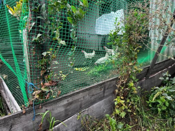 Подруга Ван Дамма из казахстанской глубинки. Вдохновляющая история самой маленькой женщины