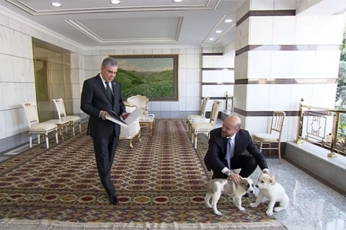 Стихийные бедствия, реакция политиков на атаку Израиля. Что произошло в мире 29 сентября