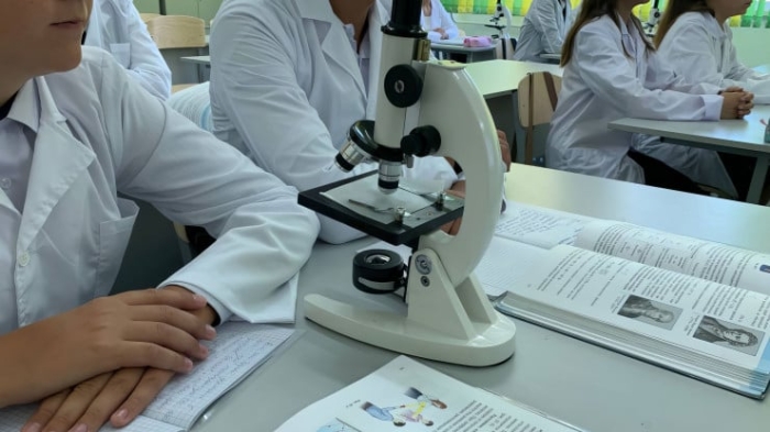 “Равнодушных практически нет“. Большие надежды маленького Улкена