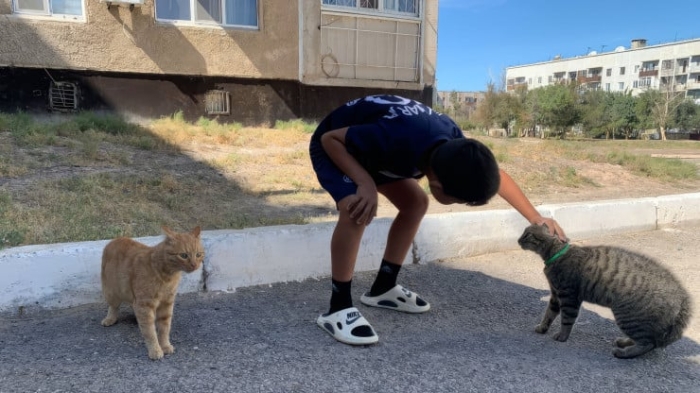 “Равнодушных практически нет“. Большие надежды маленького Улкена
