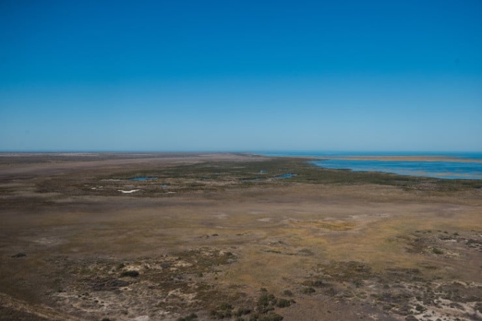 Чего ждать казахстанцам от соседства с тиграми: мнения экспертов Чего ждать казахстанцам от соседства с тиграми: мнения экспертов