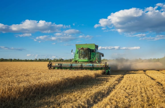 Громкое задержание, необъяснимое богатство, часовой пояс. Обзор новостей за 10 сентября Громкое задержание, необъяснимое богатство, часовой пояс. Обзор новостей за 10 сентября
