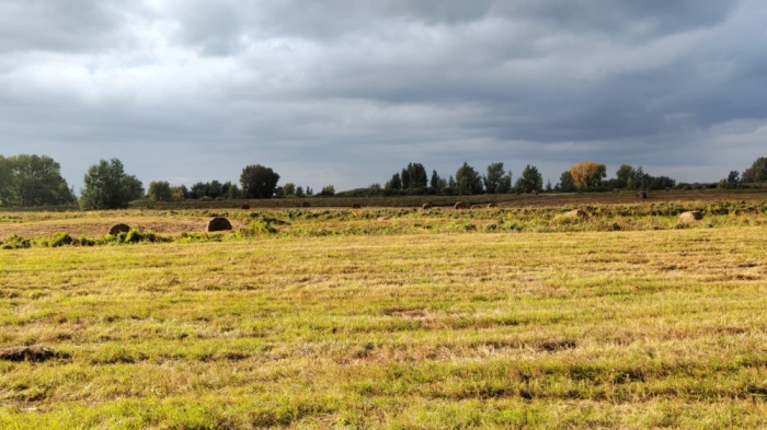 Туман, снег и морозы до 4 градусов: погода в Казахстане на сегодня Туман, снег и морозы до 4 градусов: погода в Казахстане на сегодня