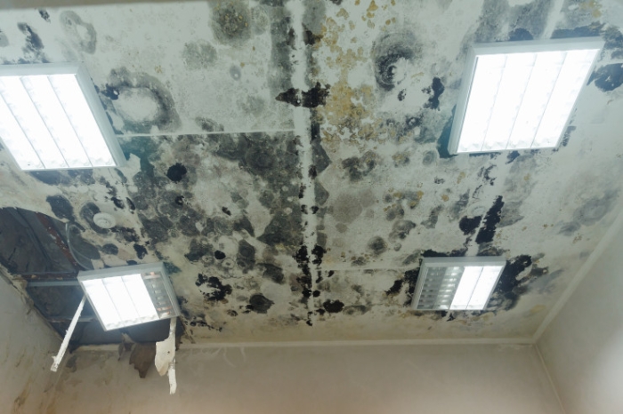 “Центральный“ готов к “Челси“? В каком состоянии главный стадион Алматы “Центральный“ готов к “Челси“? В каком состоянии главный стадион Алматы