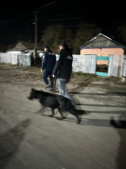 Сотни людей искали пятилетнего ребенка в Карагандинской области
