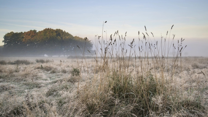 Туман и заморозки: в 11 областях Казахстана объявили штормовое предупреждение Туман и заморозки: в 11 областях Казахстана объявили штормовое предупреждение