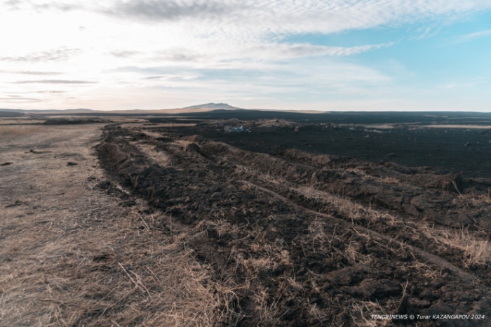 Черная степь: что происходит на месте крупного пожара в Карагандинской области