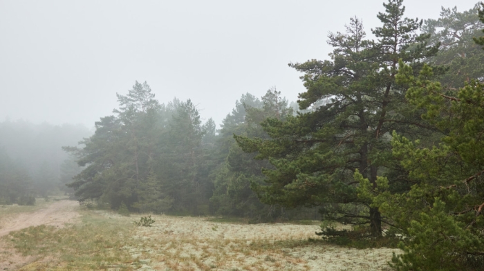 Дождь, туман и тепло: погода на 19 октября в Казахстане Дождь, туман и тепло: погода на 19 октября в Казахстане