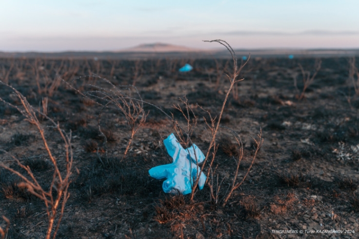 Черная степь: что происходит на месте крупного пожара в Карагандинской области