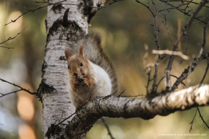 Как в старом кино. Жизнь в Каркаралинске, или Цвет Шайтанколя Как в старом кино. Жизнь в Каркаралинске, или Цвет Шайтанколя