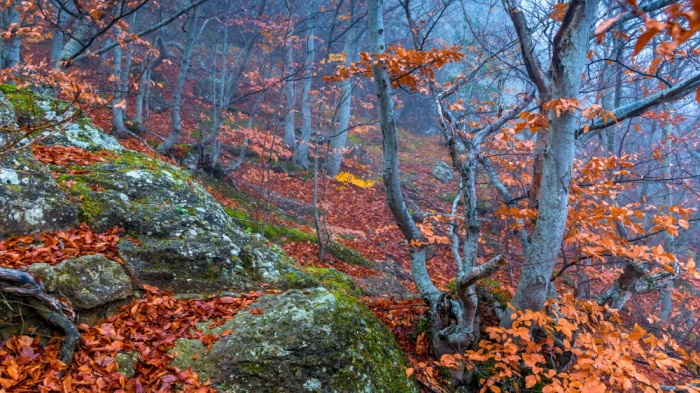 15-градусные морозы и ливни: погода в Казахстане на 18 октября 15-градусные морозы и ливни: погода в Казахстане на 18 октября