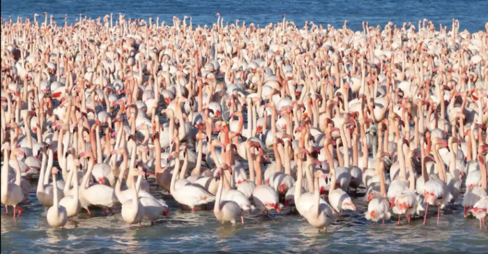Актауский бархатный сезон. Чем живет казахстанский Дубай