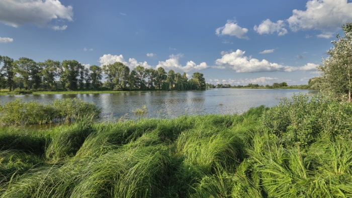 Сколько водохранилищ Казахстана в частных руках и кому они принадлежат Сколько водохранилищ Казахстана в частных руках и кому они принадлежат