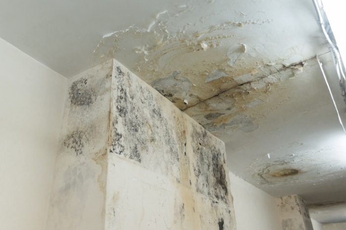 “Центральный“ готов к “Челси“? В каком состоянии главный стадион Алматы “Центральный“ готов к “Челси“? В каком состоянии главный стадион Алматы