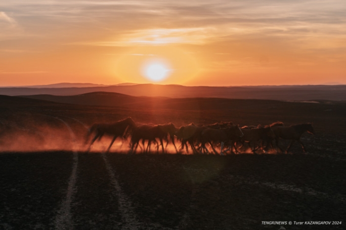 Черная степь: что происходит на месте крупного пожара в Карагандинской области