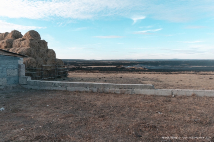 Черная степь: что происходит на месте крупного пожара в Карагандинской области