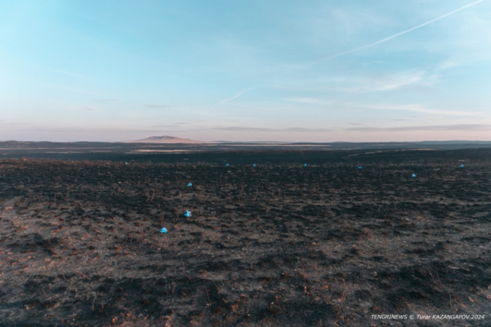 Черная степь: что происходит на месте крупного пожара в Карагандинской области