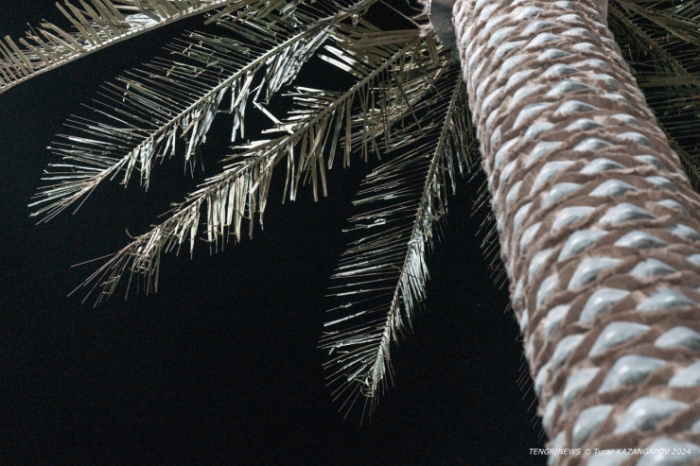 Новый аким, старые беды. Почему перекопали весь Актау