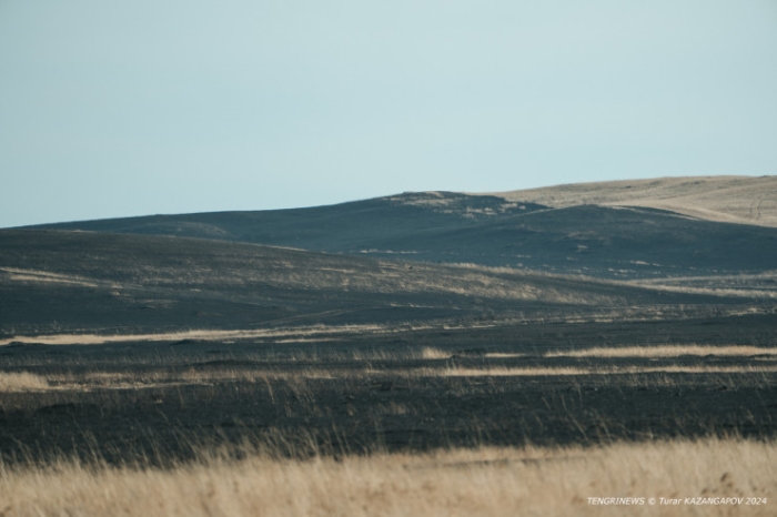 Черная степь: что происходит на месте крупного пожара в Карагандинской области