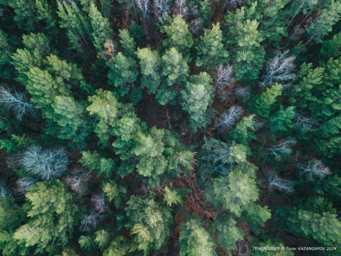 Как в старом кино. Жизнь в Каркаралинске, или Цвет Шайтанколя Как в старом кино. Жизнь в Каркаралинске, или Цвет Шайтанколя
