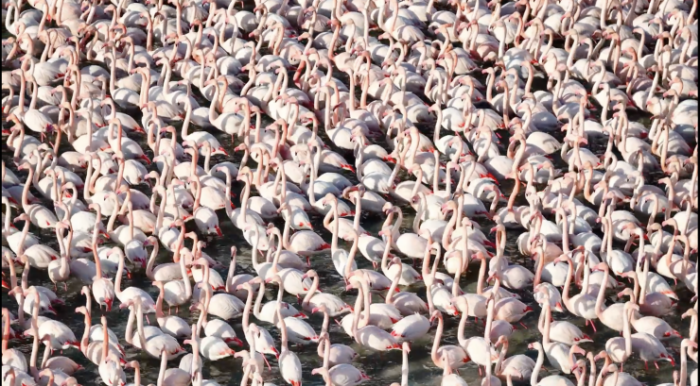 Актауский бархатный сезон. Чем живет казахстанский Дубай