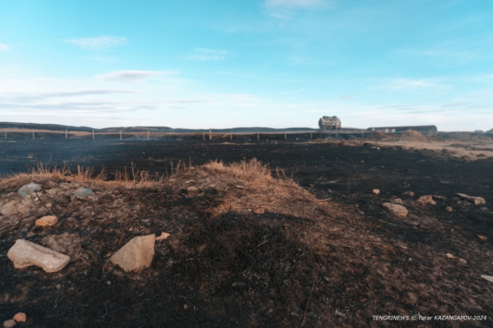 Черная степь: что происходит на месте крупного пожара в Карагандинской области