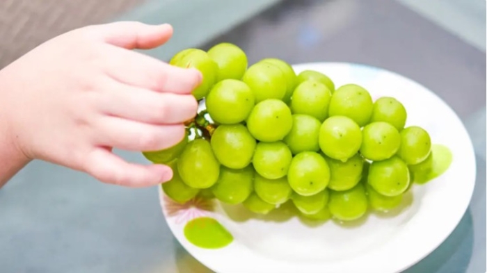 Проверка “шайн муската“ и назначения в Астане: обзор новостей за 18 ноября Проверка “шайн муската“ и назначения в Астане: обзор новостей за 18 ноября