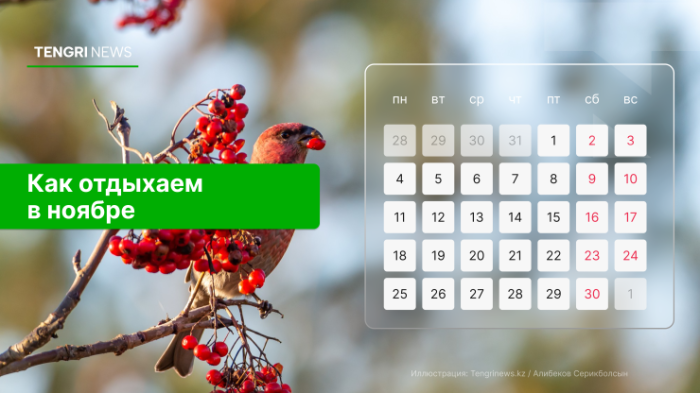 Что изменится в жизни казахстанцев с ноября Что изменится в жизни казахстанцев с ноября