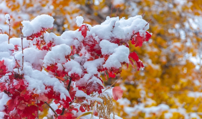 Что изменится в жизни казахстанцев с ноября Что изменится в жизни казахстанцев с ноября