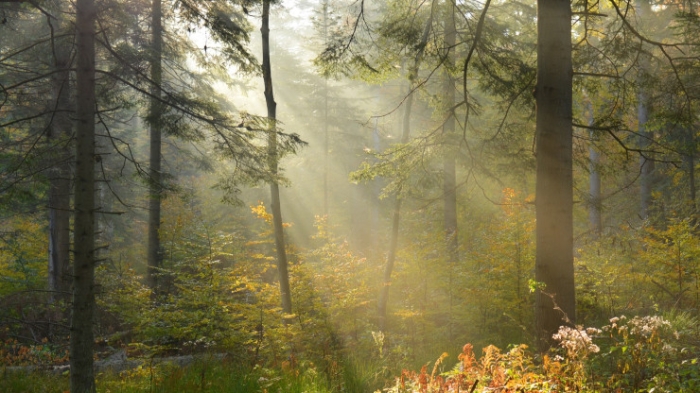 Что изменится в жизни казахстанцев с ноября Что изменится в жизни казахстанцев с ноября