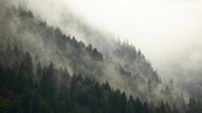 Осадки, туман, гололед: синоптики предупредили жителей Астаны и регионов