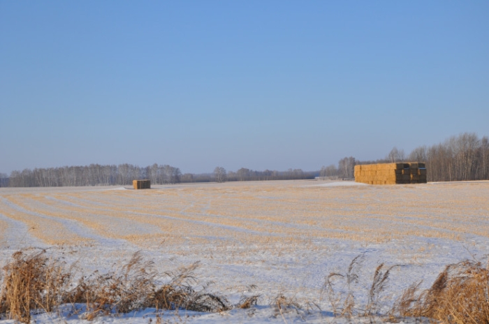 “От дна легче оттолкнуться“: как бывший наркоман помогает казахстанцам