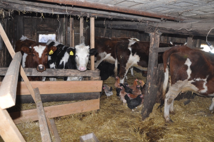 “От дна легче оттолкнуться“: как бывший наркоман помогает казахстанцам