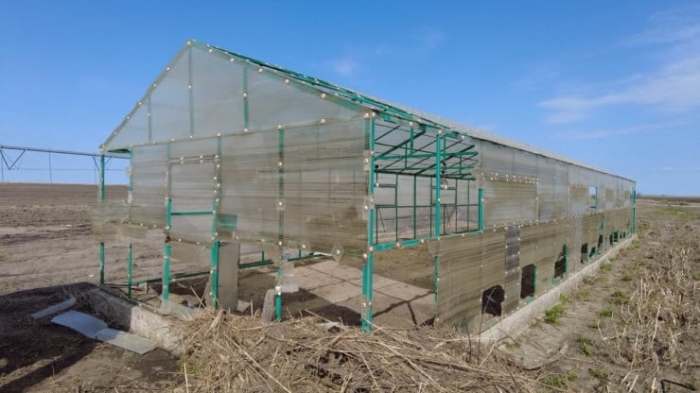 “Паводок отбросил на 10 лет“: как пострадали предприниматели в Костанайской области