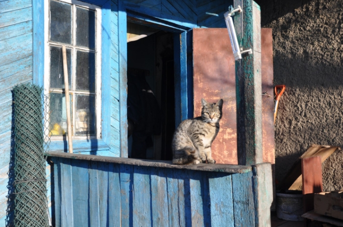 “От дна легче оттолкнуться“: как бывший наркоман помогает казахстанцам