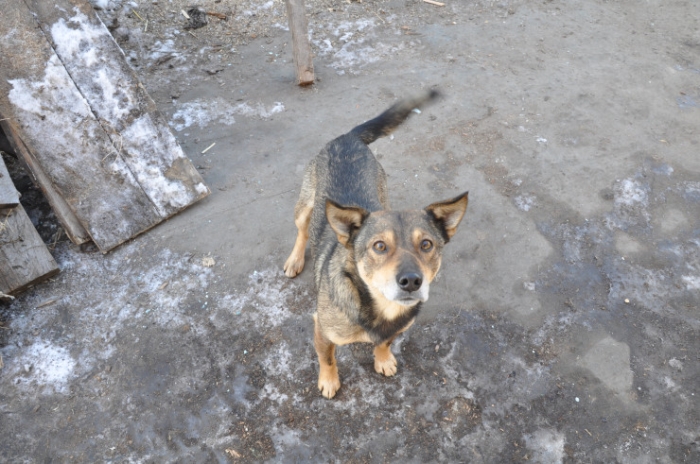 “От дна легче оттолкнуться“: как бывший наркоман помогает казахстанцам