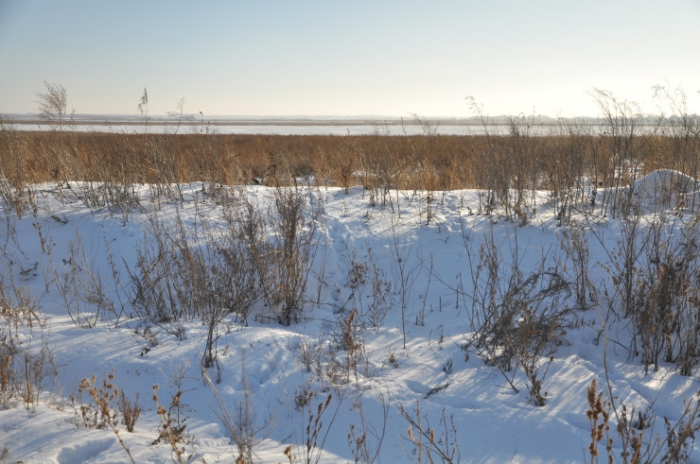 “От дна легче оттолкнуться“: как бывший наркоман помогает казахстанцам