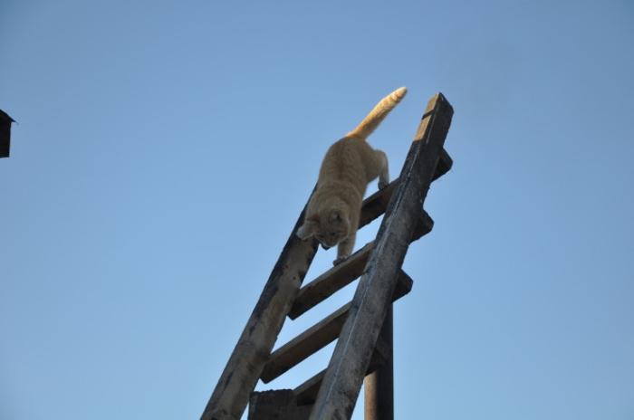 “От дна легче оттолкнуться“: как бывший наркоман помогает казахстанцам