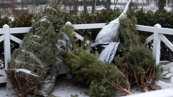 Куда можно сдать живую ёлку в Астане
Куда можно сдать живую ёлку в Астане