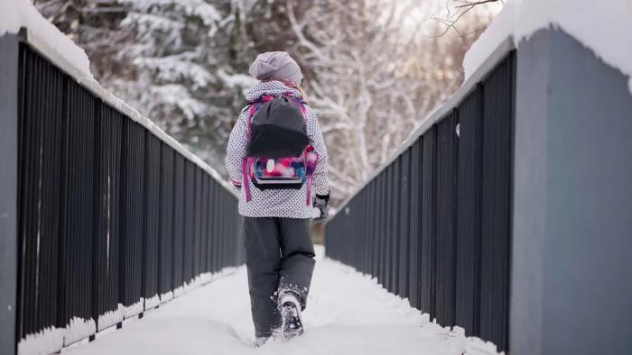 
                                                                                                                                                                                                                                                                                        Қазақстанның бірнеше өңіріндегі оқушылар мен студенттер қашықтан оқуға көшті
                                                    