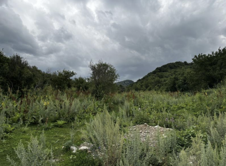 
                                                                                                                                                                                                                                                                                                                                                                                                                                                                                                                                                                                                                                        Земли в Алматинской области и помещение в Астане: активы, возвращённые государству, продадут на аукционе
                                                    