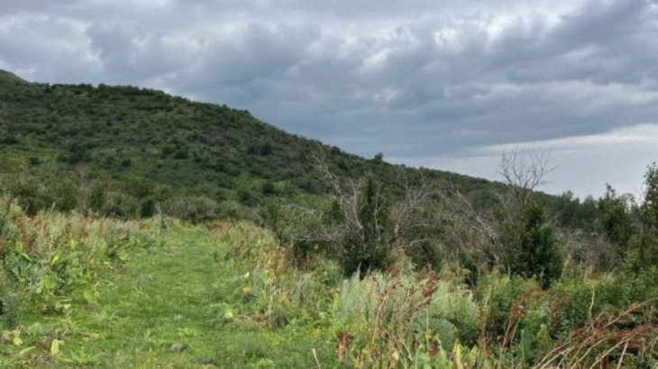 
                                                                                                                                                                                                                                                                                                                                                                                                                                                                                                                                                                                                                                        Земли в Алматинской области и помещение в Астане: активы, возвращённые государству, продадут на аукционе
                                                    