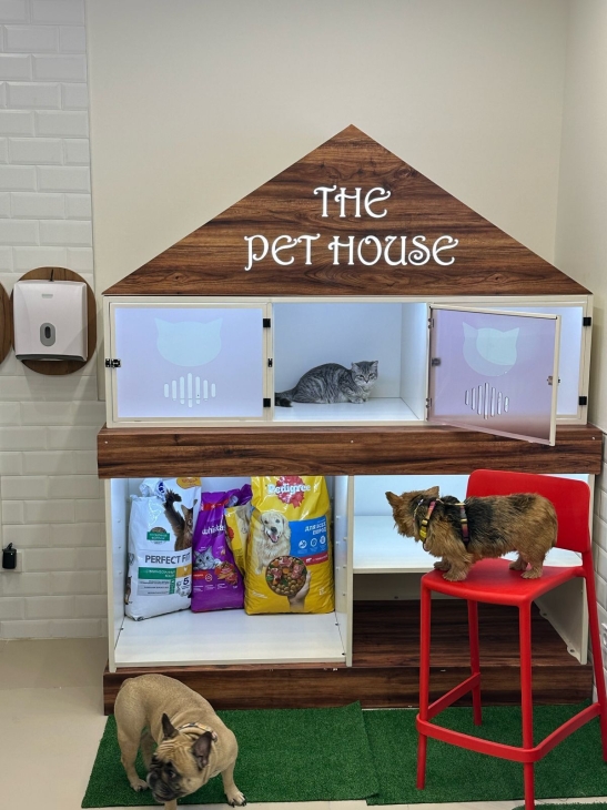 Как выглядит зона для питомцев в аэропорту Алматы
Как выглядит зона для питомцев в аэропорту Алматы