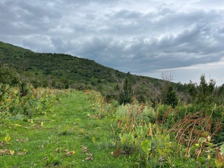 Возвращённые государству земельный участок и помещение для бизнеса в Алматы повторно выставили на торги
Возвращённые государству земельный участок и помещение для бизнеса в Алматы повторно выставили на торги